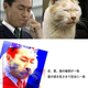 Image for article titled Japan's "Totally Looks Like" Meme Is Totally Amusing